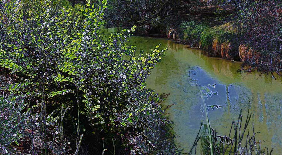 Denver canal panorama detail